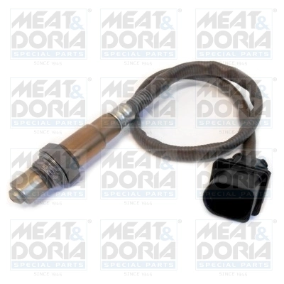 Oxygen Sensor